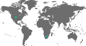 world-map-updated-bti